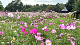 Thumbnail of post image 034