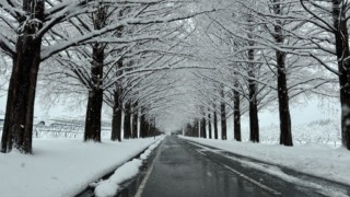 Thumbnail of post image 192