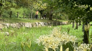 Thumbnail of post image 043