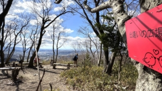 Thumbnail of post image 183