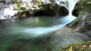 Thumbnail of post image 126