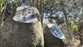 Thumbnail of post image 027