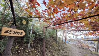 Thumbnail of post image 190