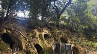 Thumbnail of post image 114