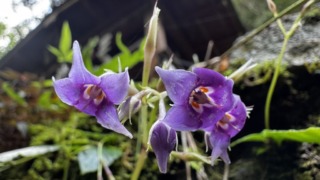 Thumbnail of post image 128